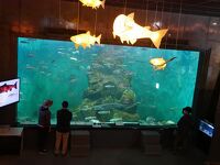 標津サーモン科学館