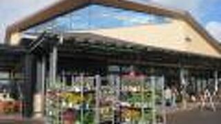 道の駅 津かわげ