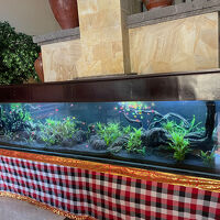 ロビーには大きな水槽も