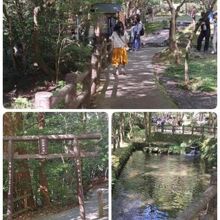 高千穂峡遊歩道