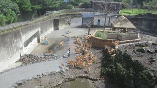 大島動物園