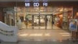 ステーションビルMIDORI (松本店)