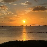 客室からの眺め