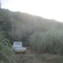北大東島