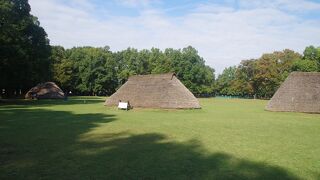 水子貝塚公園 資料館