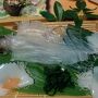 透き通った呼子のイカを食べに