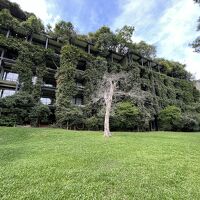 バワは象が遊びに来るのを楽しみに植物に覆われた建物を設計しま