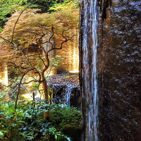 館内には滝も池も