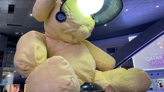 広いけれどわかりやすい