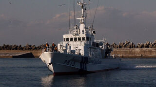 シロカモメが見られました。