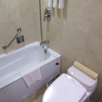 洗面台と化粧台には110Vのコンセントがあります。