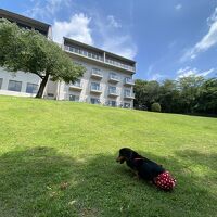 ホテル前のドッグラン