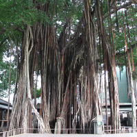 台中文学館