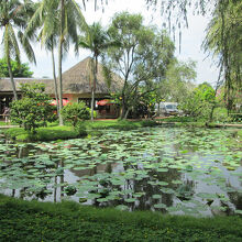 メコン レスト ストップ