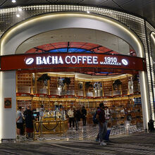 バチャコーヒー (チャンギ空港 ターミナル3店)