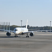 成田空港でのスターラックス航空