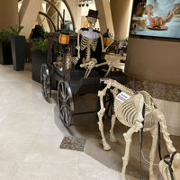 ハロウインこんなの日本で見れない