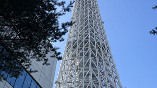 世界一高いタワーに行ってみた