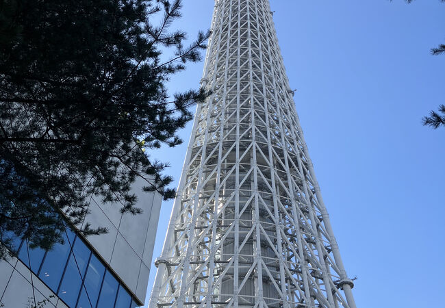 世界一高いタワーに行ってみた