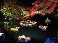 弘前城菊と紅葉まつり