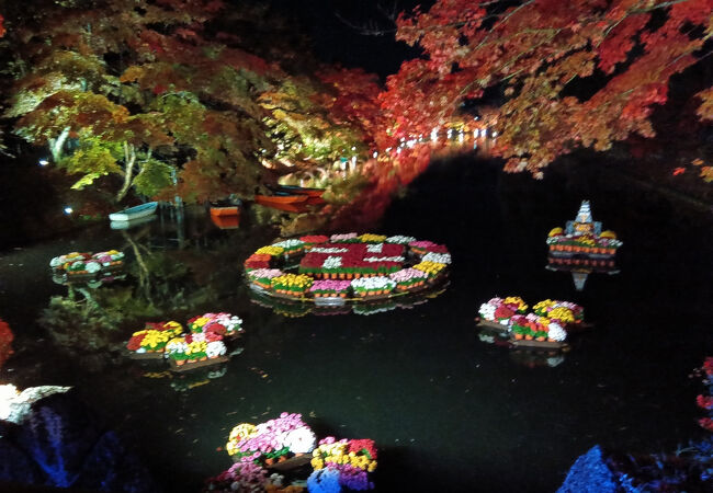 弘前城菊と紅葉まつり