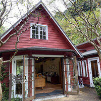 森のテラス&カフェ