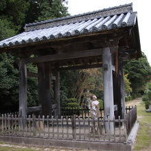 雲樹寺庭園