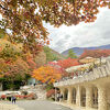 ガウディを思わせる琉球石灰岩の建物と紅葉のコントラストが素晴らしい