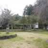 なかなか再建は難しいようです