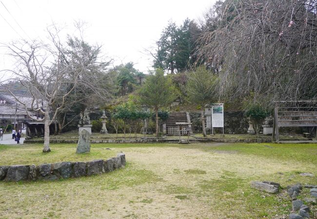 なかなか再建は難しいようです