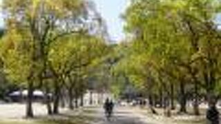 宝が池公園子どもの楽園