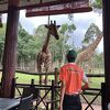 動物を間近で見られる施設