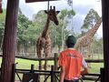 ヴィンパール サファリ