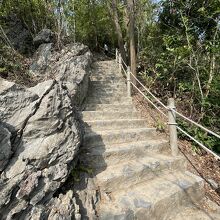 ティートップ島