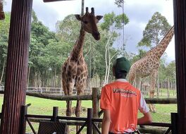 ヴィンパール サファリ