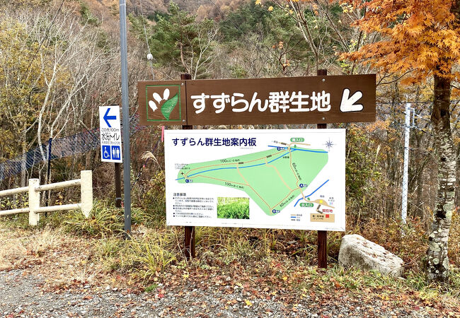 芦川のすずらん群生地