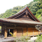 いろんな要素があって生き延びてきた寺なんだと思います