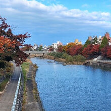 犀川の紅葉も美しい