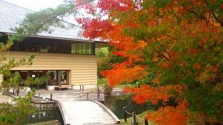 播磨屋本店 豊の岡工園店