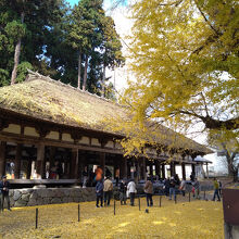 新宮熊野神社長床