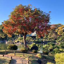 清澄庭園