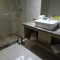 バスルームはシャワーのみ