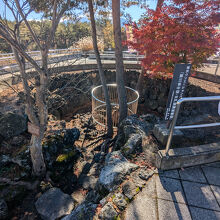 第三号中型・井戸型溶岩樹型