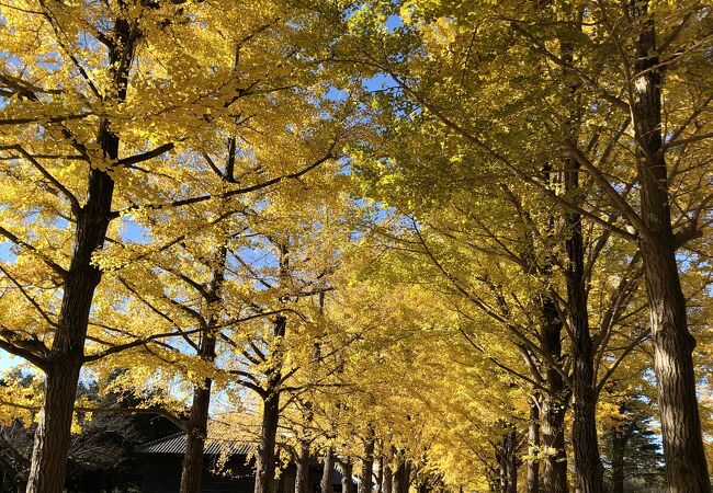 茨城県立歴史館