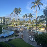 客室からの景色。プール越しに海が見える