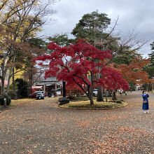 紅葉のさかりでした