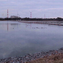 神之池緑地公園