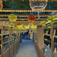 現人神社、風鈴まつりの風鈴棚。