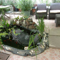 かわいらしいお庭