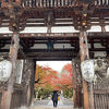 高い木が多いので紅葉のグラデーションが美しい